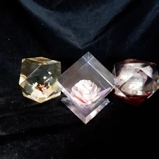 Vintage 3 Resin Lucite Acrylic Encased Paperweights 2 Clear 1 Amber