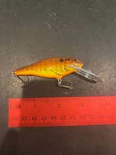 Bagley’s Bass N Shad Dark Crayfish On Chart #2