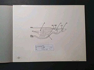 Sarrafian Anatomy of the Foot and Ankle Original Medical Printing Proof Signed 