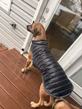 Horseware® Signature Dog Blanket (200g XL)