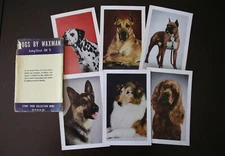 Dogs by Waxman Esky-Card Set #5 Esquire Magazine