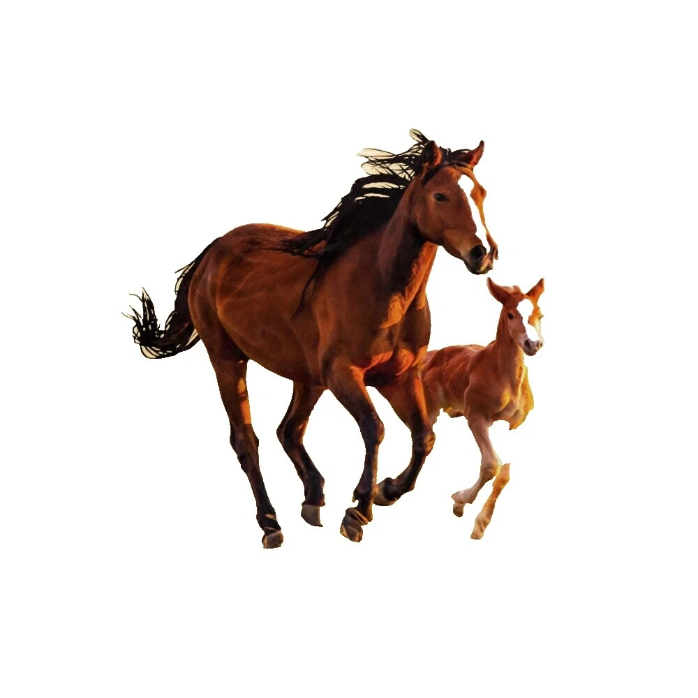 Флисовые одеяла и покрывала Abstract Family