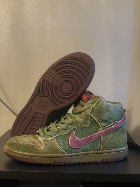 nike skunk dunks ebay
