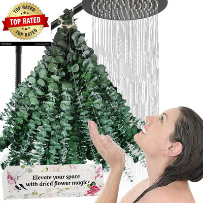 Bulk Package 30 PCS Real Dried Eucalyptus Plant Large Stems for Shower