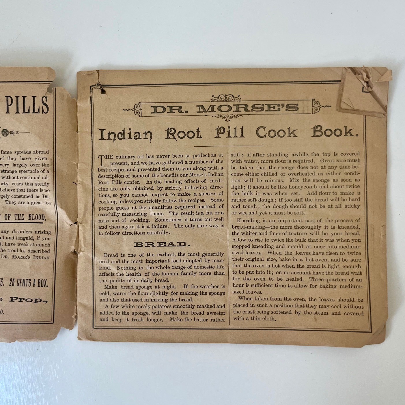 Dr. Morse's Indian Root Pills Cookbook 1890s Patent Medicine Ephemera