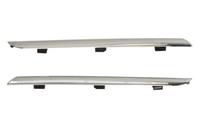 Blic 5510-00-6034920Q Zier-/Schutzleiste, KüHlergrill FüR Renault