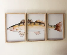 Trout Fish Triptych Print Framed Wall Art Prints Under Glass Rustic Cabin
