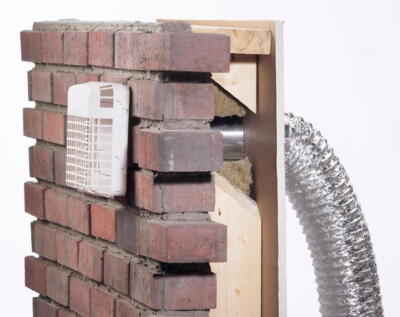 L&rsquo;importanza Della Puntualit&agrave; Nella Protezione Antiparassitaria | My