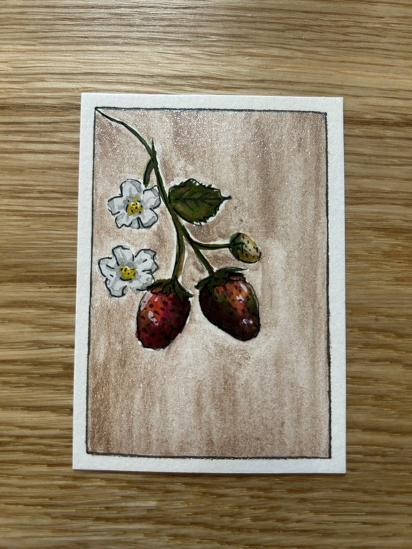 Strawberry Blossom– Original ACEO Botanical Watercolor by OcchiBlu
