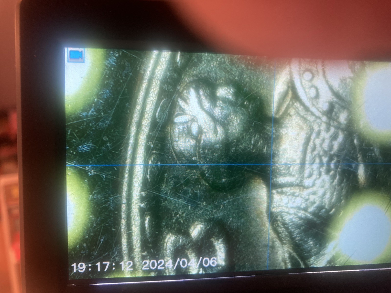 ( 1919-P Standing Liberty Quarter ~ AU++ Cndtn ~    Full Head. Strong Date.