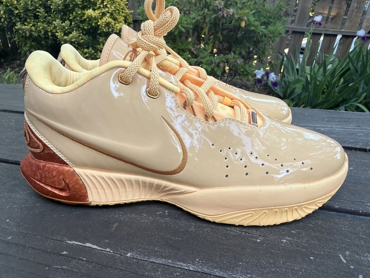 Nike LeBron James XXI 21 Melo Melo Dragon Pearl Melon Tint FV2345