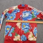 Foto 11 di 15