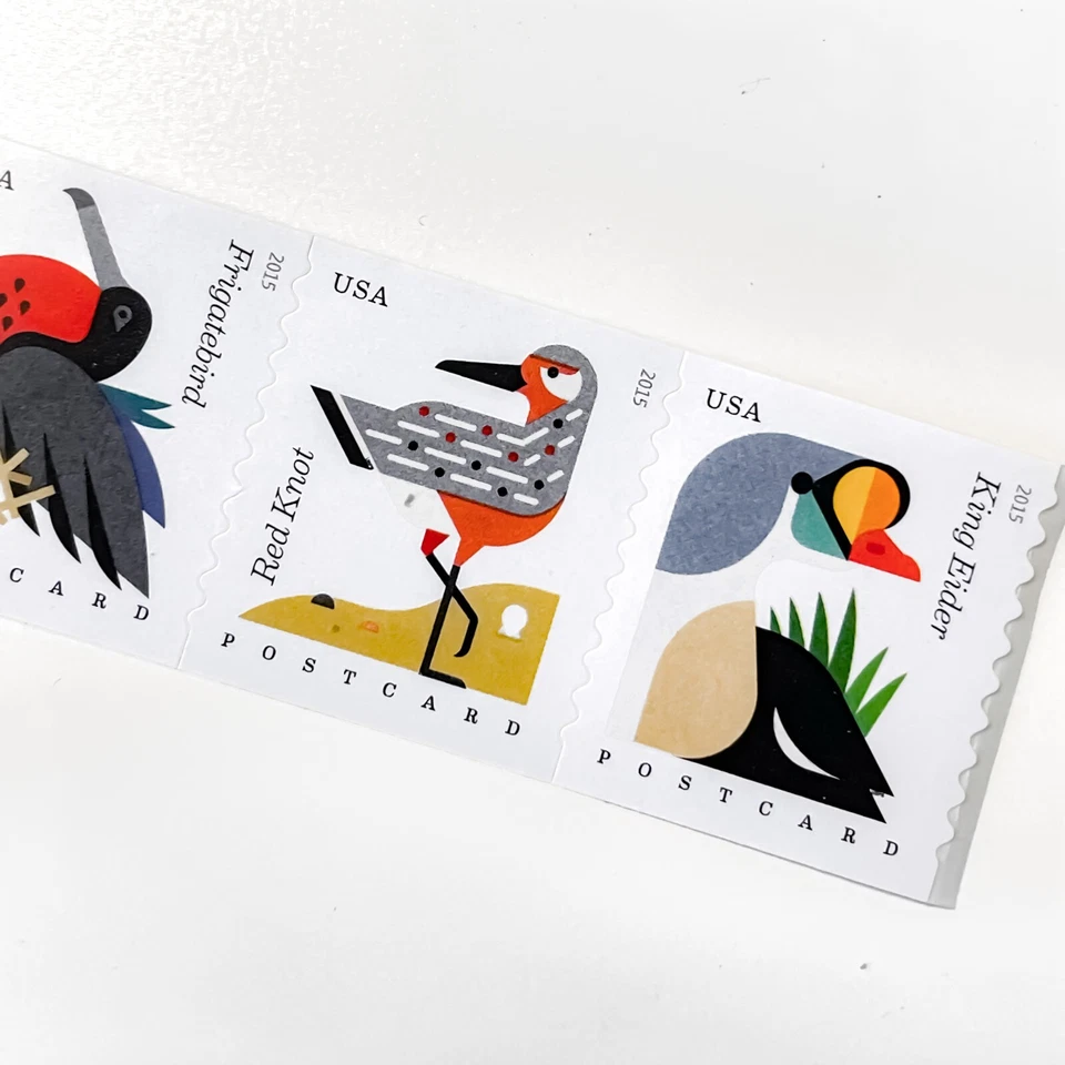 US # 4995-98 COASTAL BIRDS (2015) - Postcard Stamps Coil Strip of 4 in Sequence - Image 4 of 4