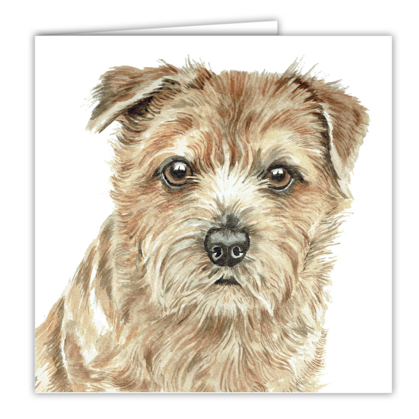 Norfolk Terrier greetings card dog blank card dogs Norfolk Terriers Norfolks art