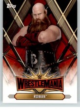 2019 WWE Road to Wrestlemania Roster #31 Erick Rowan