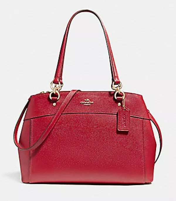 Coach large hotsell brooke carryall