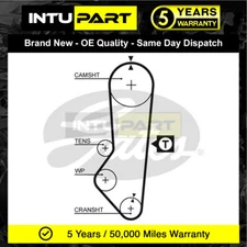Fits Ford Fiesta Escort 1.4 1.6 + Other Models IntuPart Timing Cam Belt