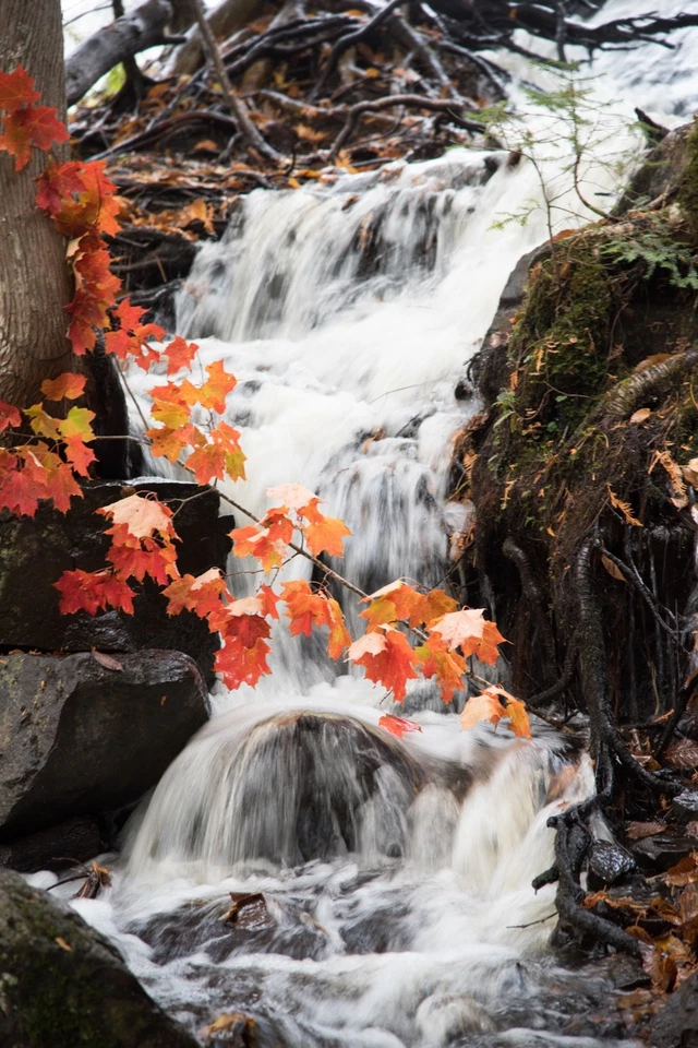 🏒 2013 Nathan MacKinnon ITG In The Game Past & Future Eric Lindros PF-01 🚨NATE - Image 4 of 4