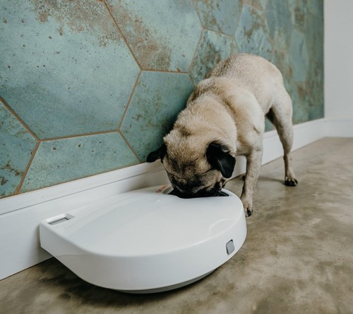 Smart 5 Meal Pet Feeder - Programmable with Ice Packs for Enhanced Freshness - Picture 9 of 13