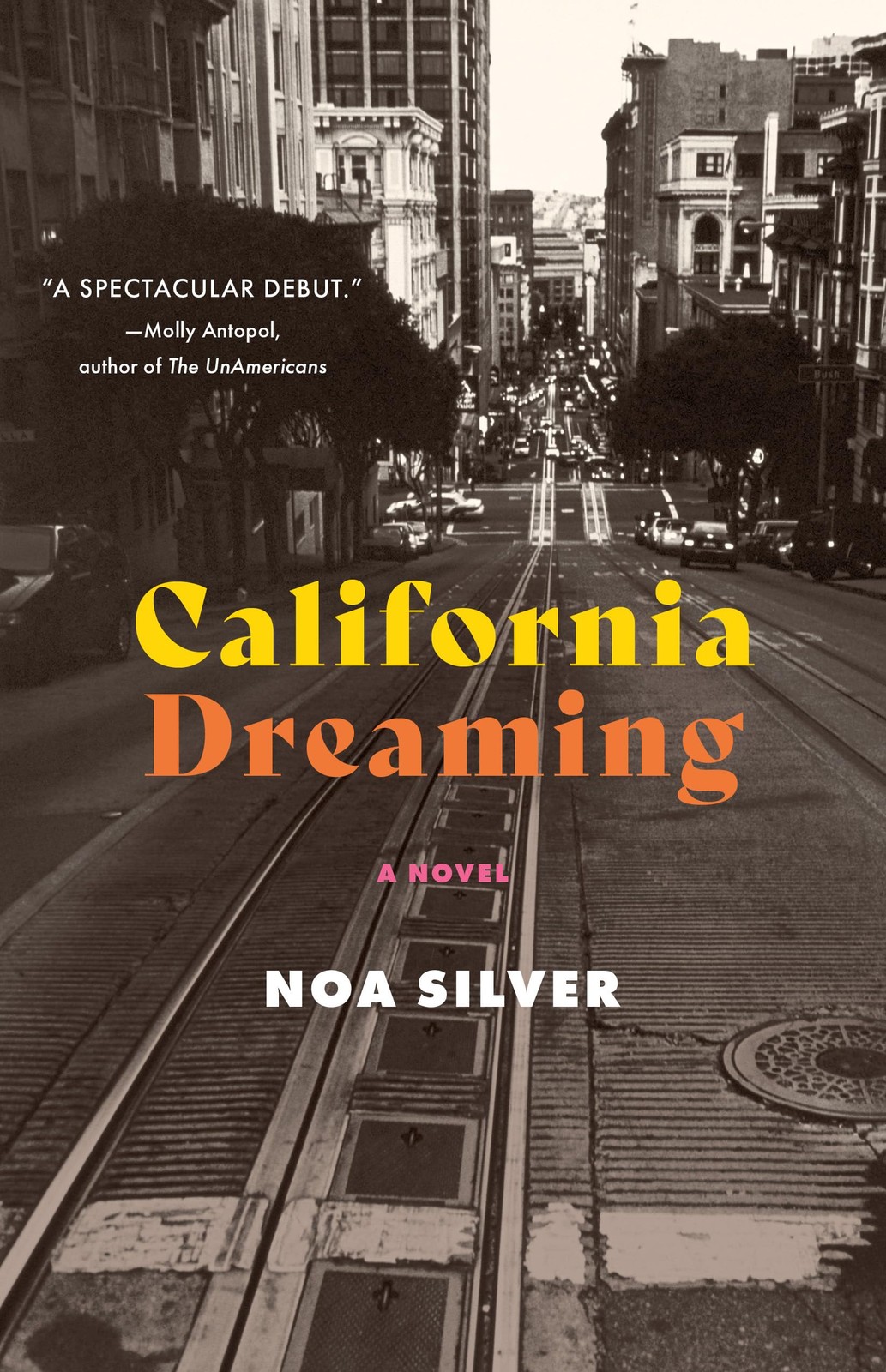 California Dreaming: A Novel.by Silver  New 9781647426606 Fast Free Shipping**
