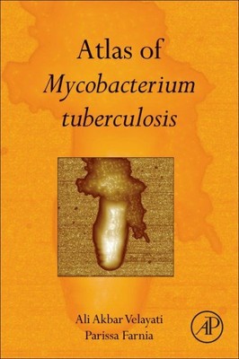 Atlas der Mykobakterien Tuberkulose, Hardcover von Velayati, Ali Akbar; Farnia...