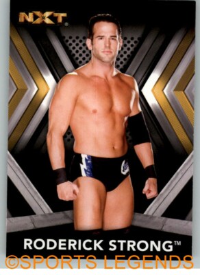 2017 NXT Roster #26 Roderick Strong