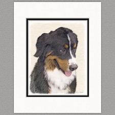 Bernese Mountain Dog Original Art Print 8x10 Matted to 11x14