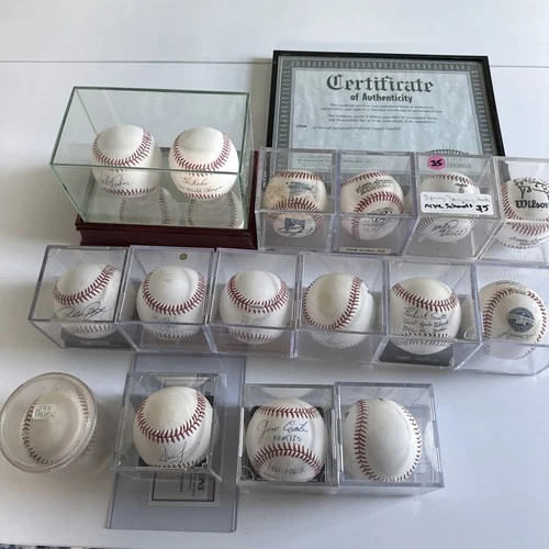 Autographed Baseball Lot: 16 MLB Signed Balls (Rose, Evans, Burnett, Schmidt…)