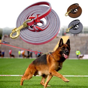 leash training german shepherd