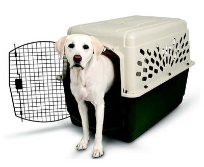 ebay dog crate