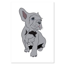 Poster/stampe da parete 'Cucciolo Bulldog francese grigio' (PP046588)