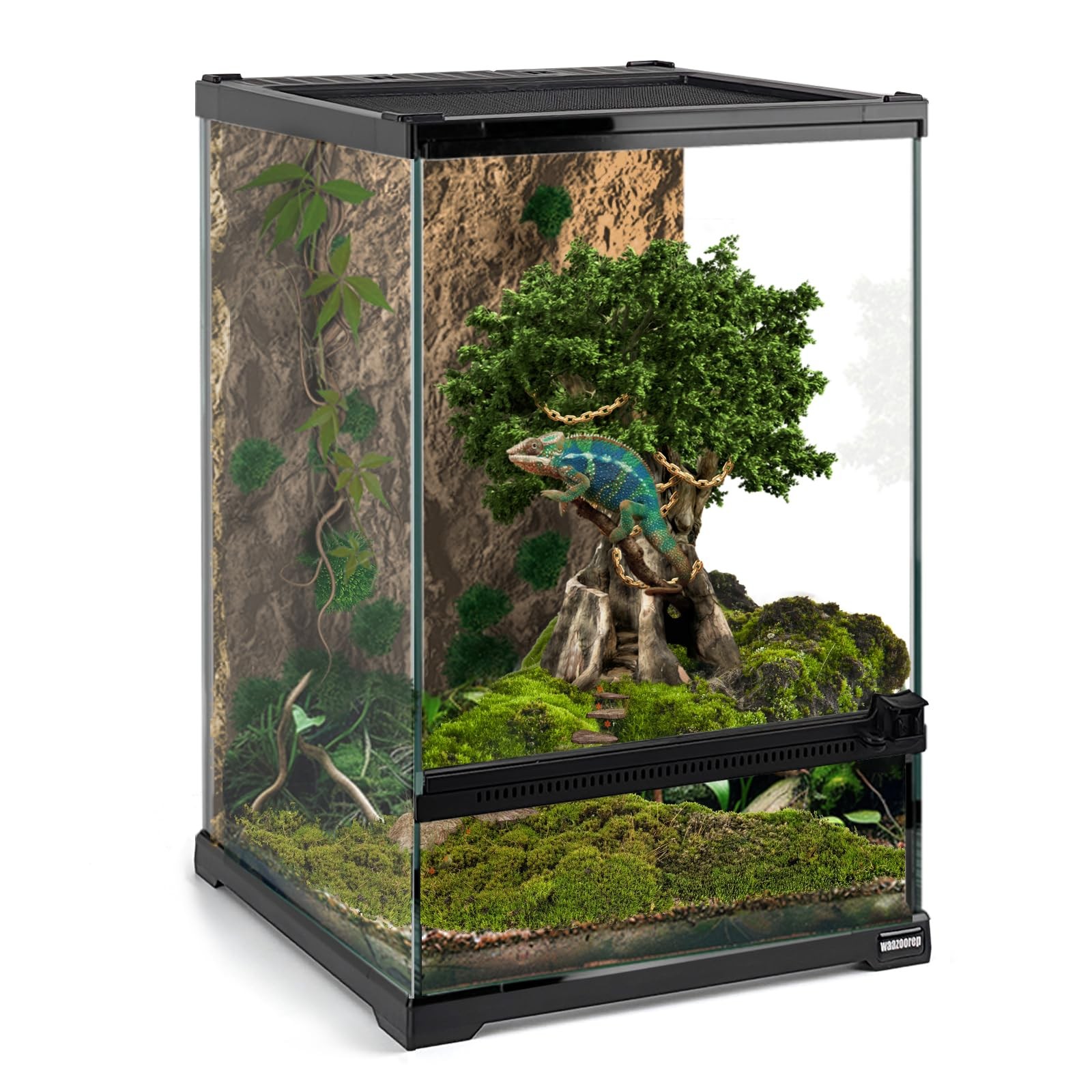 8x8x12 Inch Mini Glass Reptile Terrarium with Front Opening Door
