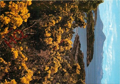 Postkarte: Berge von Skye vom Plock von Kyle aus gesehen [J Arthur Dixon]
