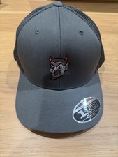 Scotty Cameron Speed Demon Snapback Hat - Gray - Exclusive Rare - New Sold Out Scotty Cameron Speed Demon Snapback Hat - Gray - Exclusive Rare - New Sold Out