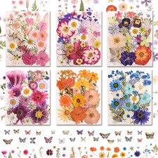 222 PCS Real Pressed Dried Flowers and Leaves with Butterfly Stickers  Tweezers
