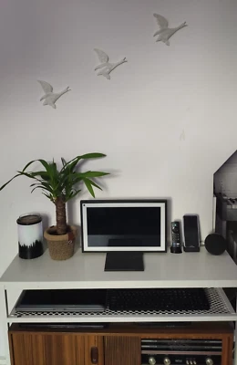 ABCTRADING NORTH Hilda Ogden's Trio di anatre volanti - anatre da appendere al muro - novità - arte classica?