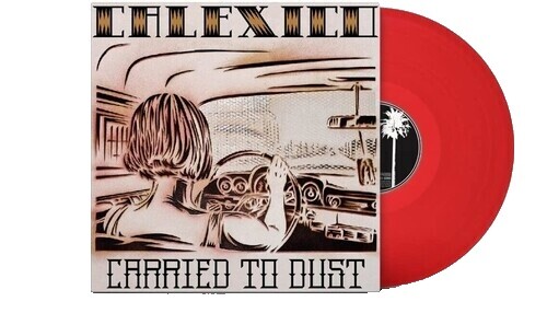 Dust Vinyl | eBay