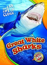 Great White Sharks Hardcover Rebecca Pettiford