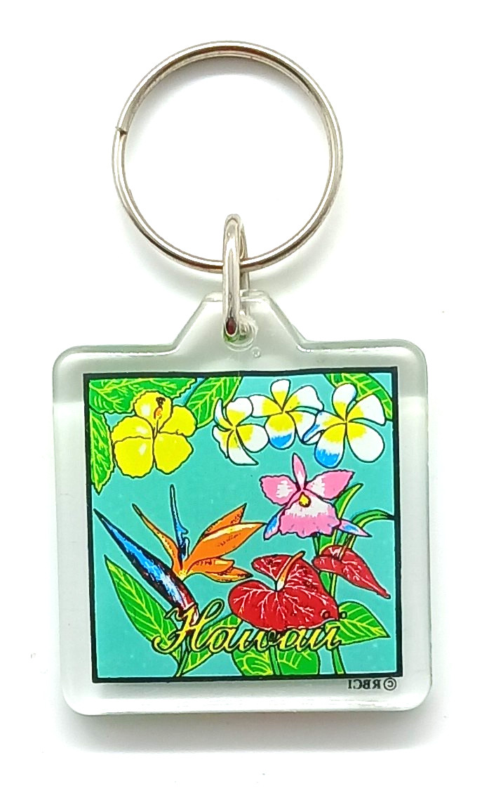 Vintage Hawaii Different Kinds Flowers Orchid Keyring Keychain