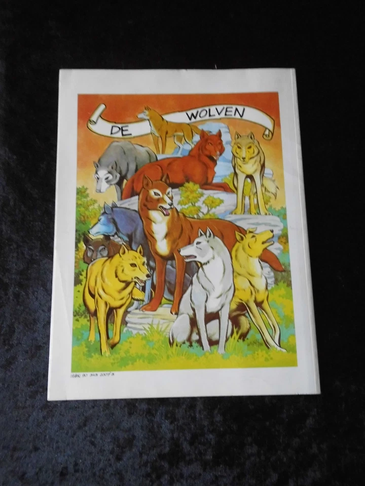 ** ELFQUEST - DE WOLFRIJDERS ** Comic Album Nr. 1 - Arboris - Niederländisch - Bild 2 von 2