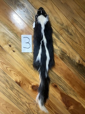 Tanned Skunk Pelts
