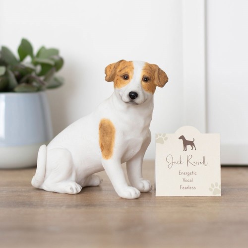 Decorazione cane decorazione casa amanti razza resina regalo animali da collezione sentiment card - Foto 6 di 44