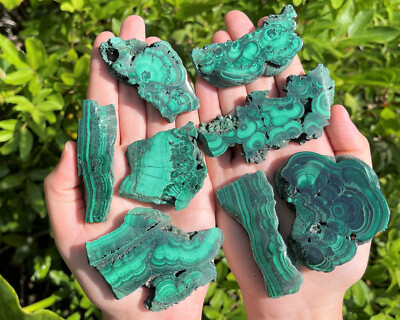 Natural Malachite Slice, Polished Malachite Crystal Slab Specimens - Choose Size