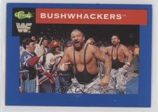 1991 Classic WWF Superstars The Bushwhackers #119 11gl