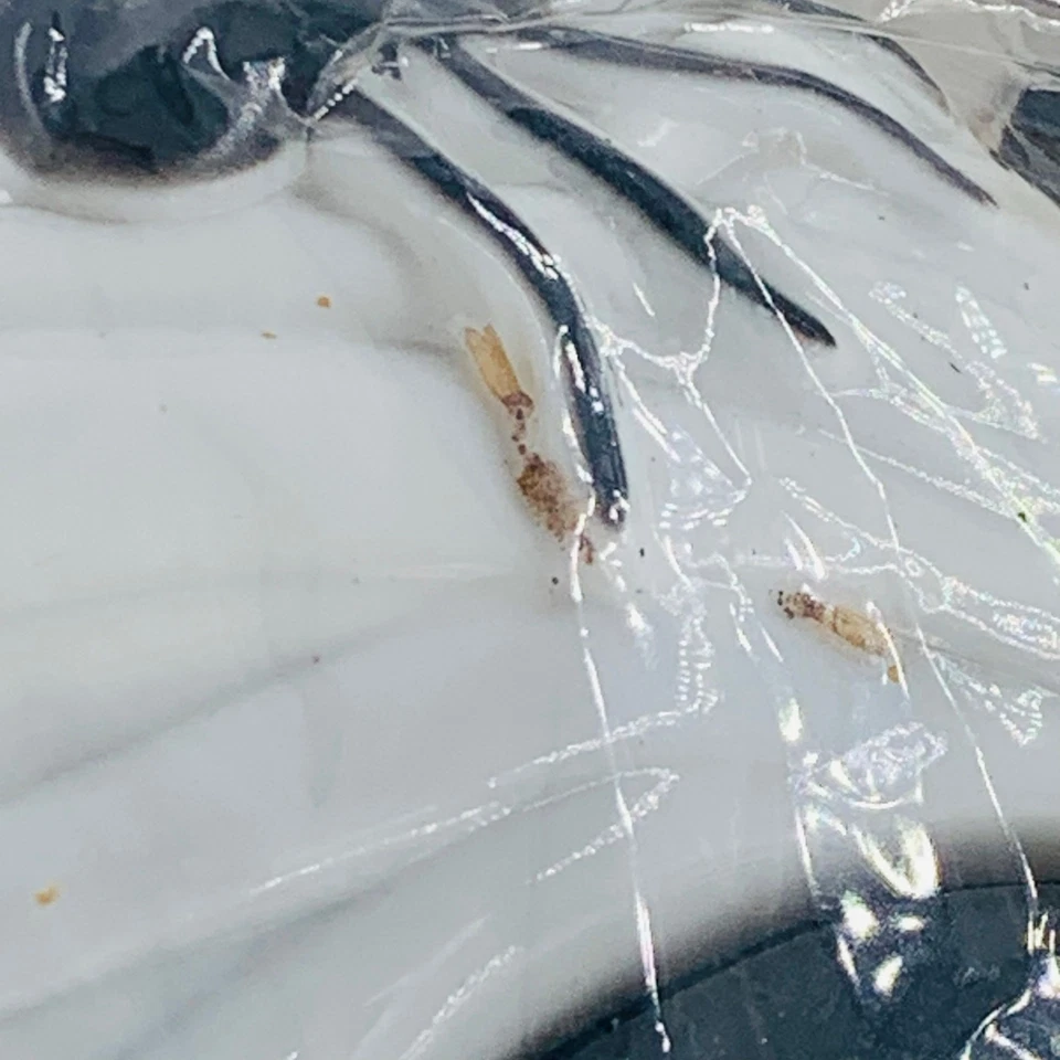 Máscara facial iluminada para niños Halloween blanca negra calavera batería frontal Foto 2 de 4