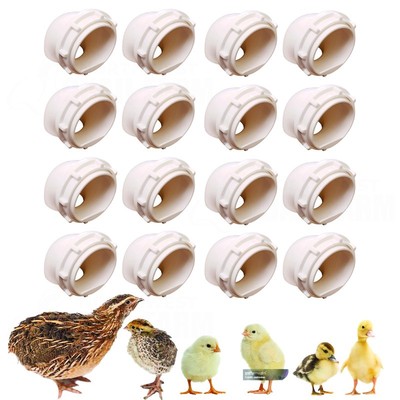 QUAIL & BABY CHICK PORT FEEDER -  1.5'' FEEDER PORTS NO WASTE FEED SAVER