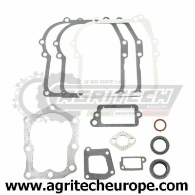 SERIE GUARNIZIONE MOTORE SOSTITUISCE Briggs &amp; Stratton 391662 B&amp;S