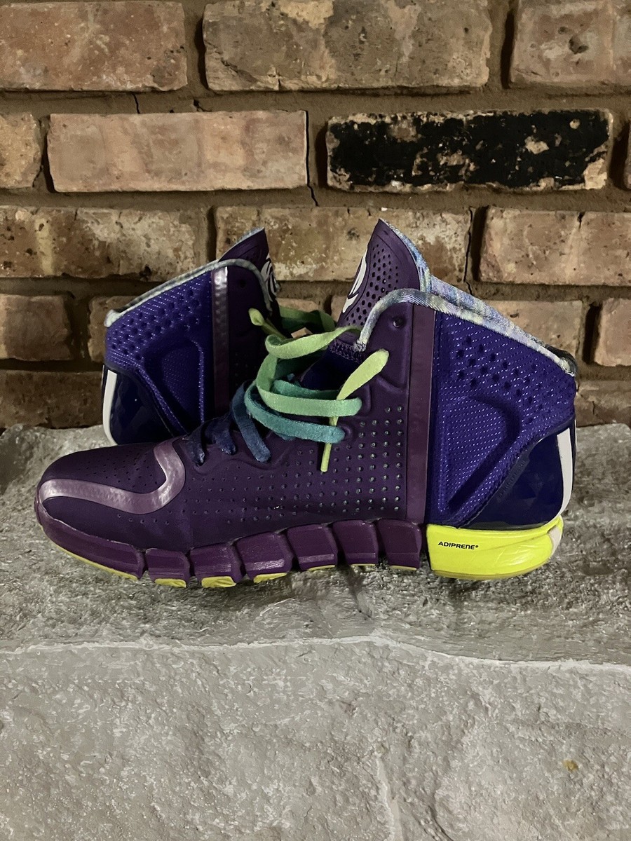 Adidas D Rose 4 Chicago Nightfall OG | eBay