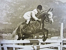 Vintage Equestrian Horse Jumping Photo 14" Young Man English Show Riding 1950's
