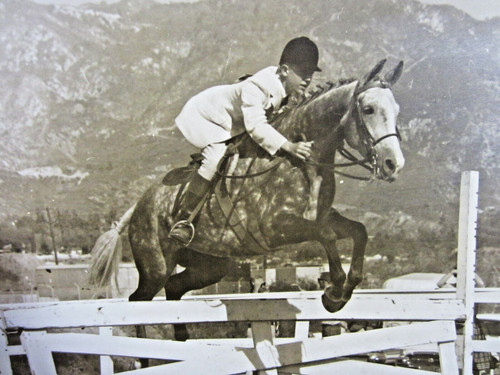 Vintage Equestrian Horse Jumping Photo 14" Young Man English Show Riding 1950's